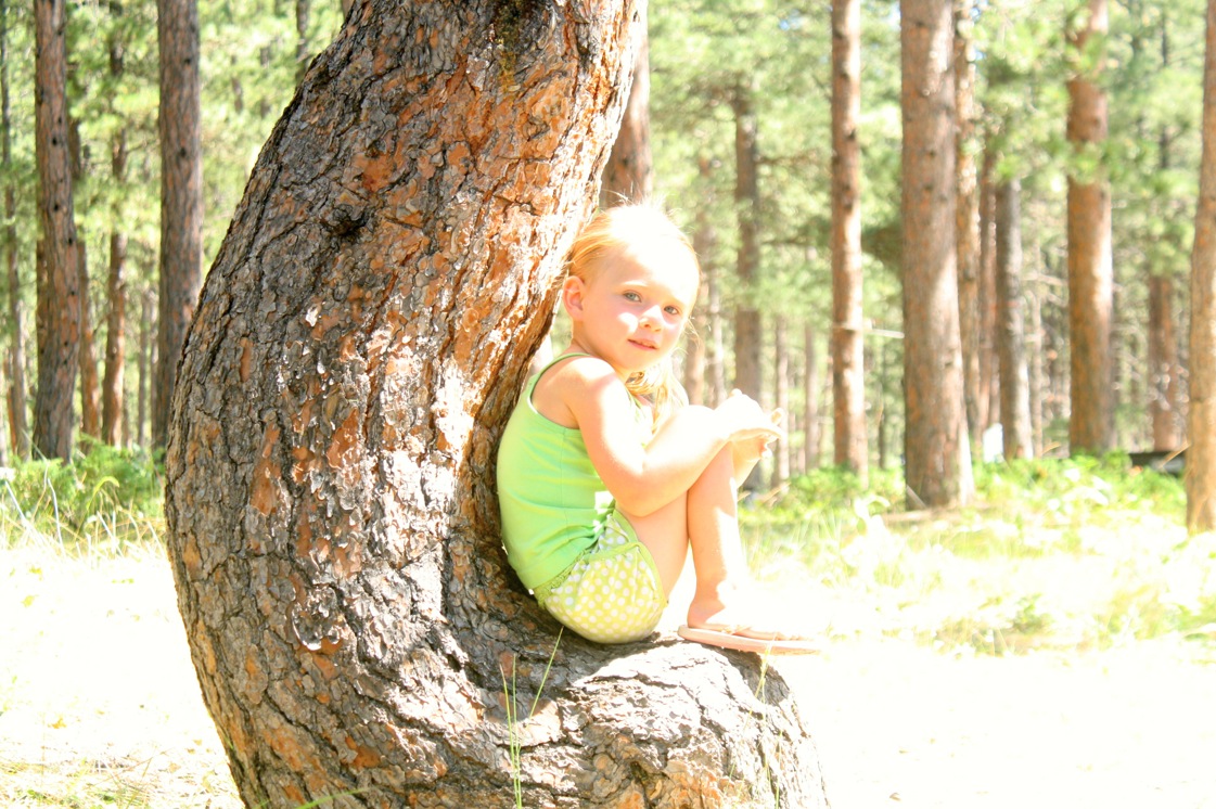 Funny looking tree to sit in.