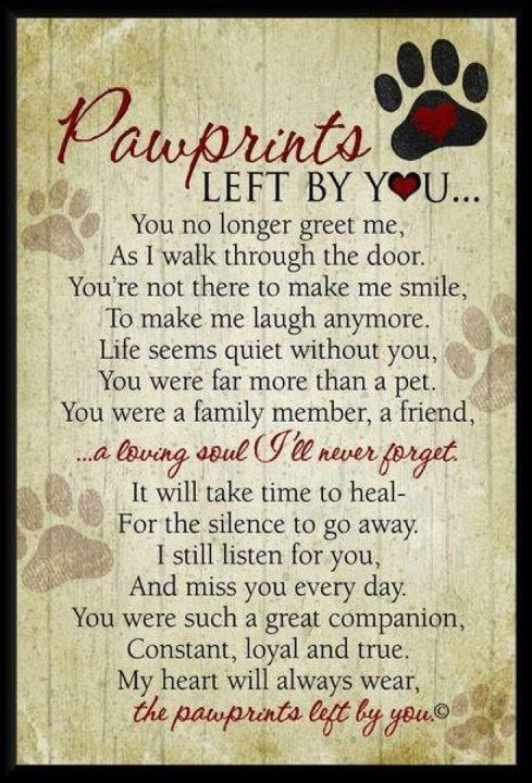 pawprints-quote