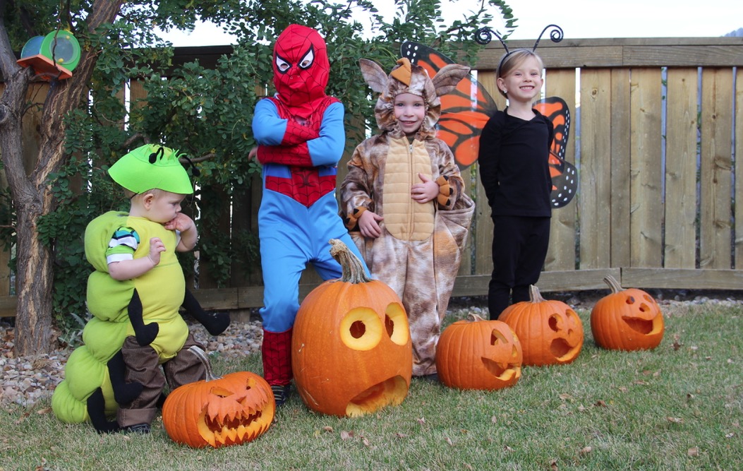 The kid's in their costumes with the pumpkins the parents carved.