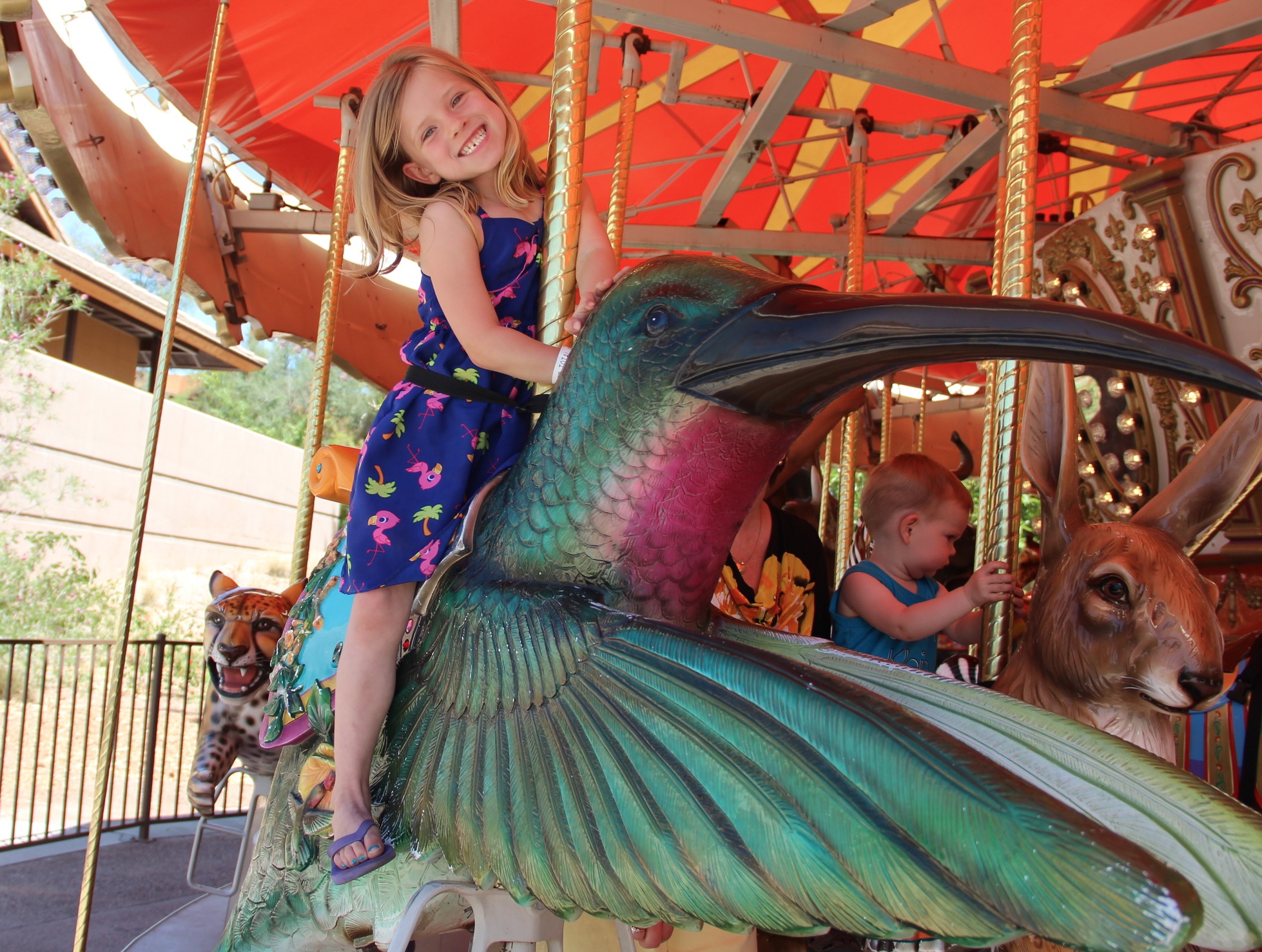 Ellie picked the beautiful hummingbird to ride.