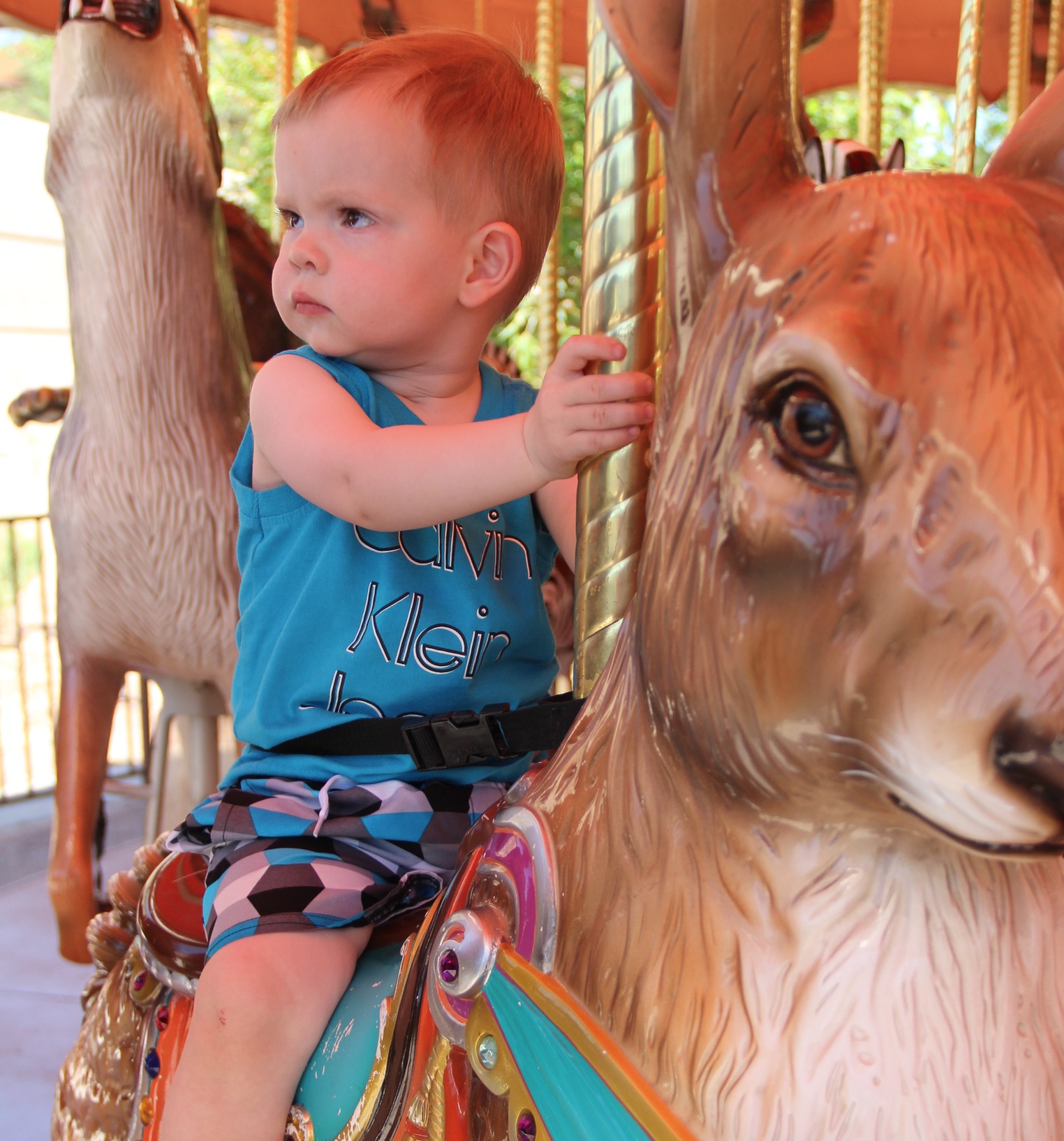 And Jackson doesn't look too happy about being stuck on a bunny.